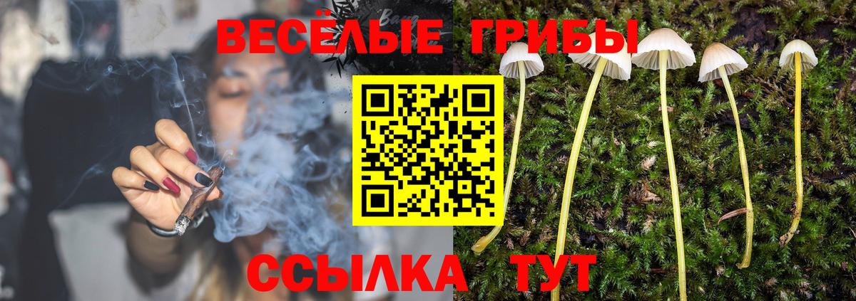 Галлюциногенные грибы MAGIC MUSHROOMS Гусев