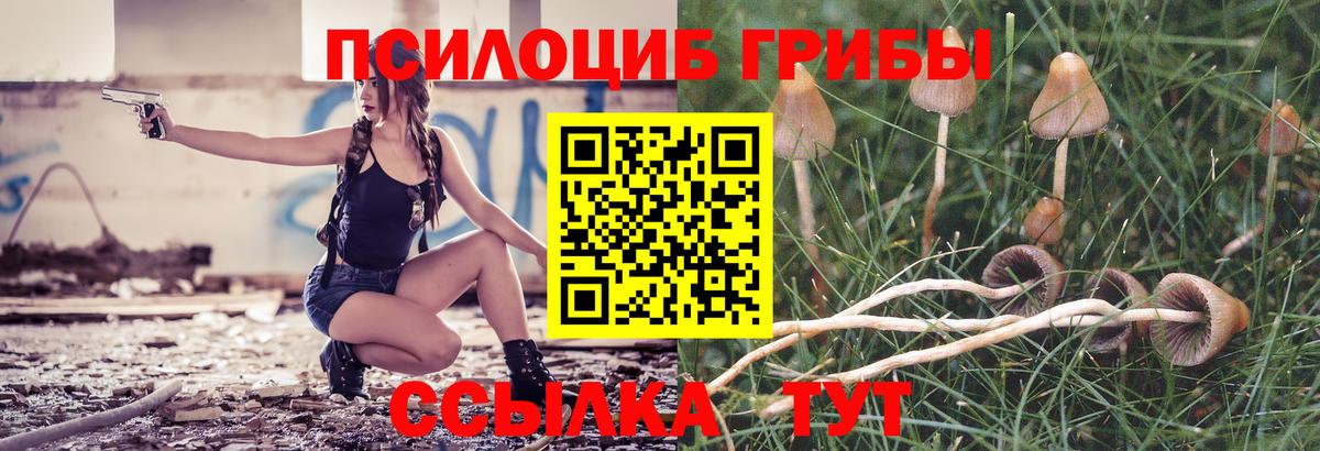 Галлюциногенные грибы GOLDEN TEACHER  Галлюциногенные грибы мицелий  Гусев  Вход с VPN 