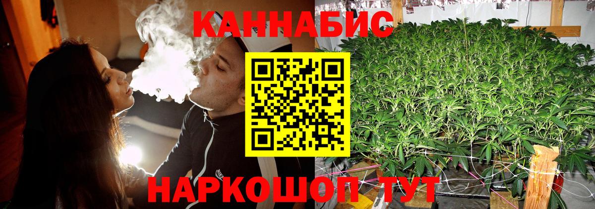 Бошки марихуана семена  Бошки марихуана гибрид  МАРИХУАНА THC 21%  Гусев  Марихуана Bruce Banner  Вход с VPN 